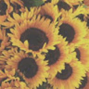 Meet your Posher, Brooklyn